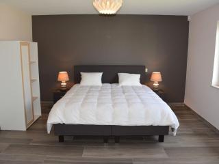 Modern villa in Rochefort close to the horses - Wavreille - 5