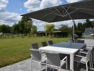 Modern villa in Rochefort close to the horses - Wavreille - 4