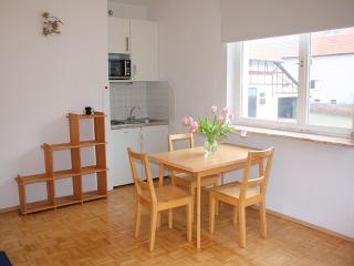 Holiday flat with private terrace in Hüddingen - Bad Wildungen - 9