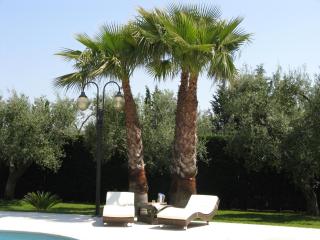 B&B Villa Vittoria - 7