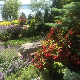 Acadia Ocean Front Garden Cottages - 1