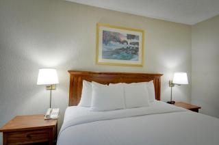 Vagabond Inn Executive SFO - Burlingame - 8