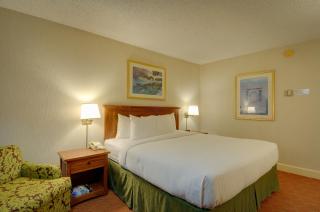 Vagabond Inn Executive SFO - Burlingame - 7