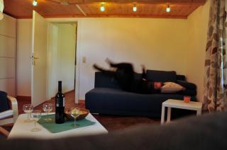 Gabis Lodge - Krimml - 2