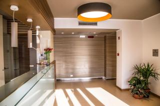 Grand Chalet delle Rocche - 9