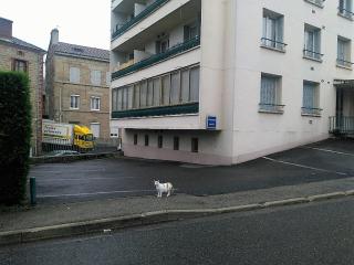 Bel appartement a vivre - Saint-Étienne - 9