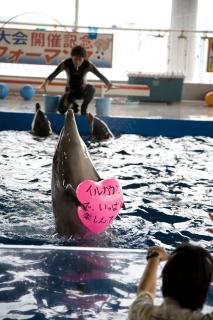 Shibushiwan Daikoku Resort Hotel - 8