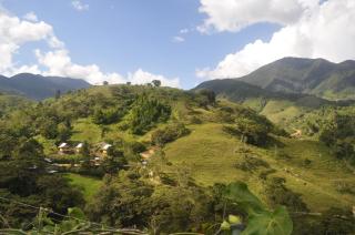 San Alberto Ecolodge - Oxapampa - 5