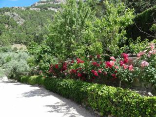Apartamentos Arroyo Parrilla - La Iruela - 8