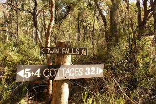 Twin Falls Bush Cottages - Fitzroy Falls - 7