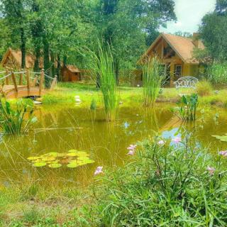 Rarumpelpunzeldornaschenwittchen - Fredericksburg - 8