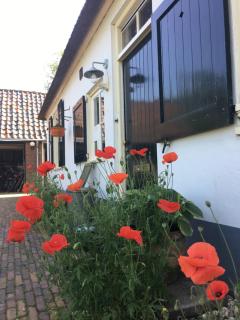 Bed and Breakfast de Bosakker - Deventer - 9