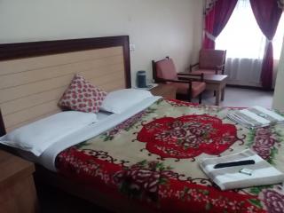 Hotel Preethi Palace - Udagamandalam - 1