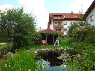 Apartments Josef Seitz - Bayerisch Eisenstein - 1