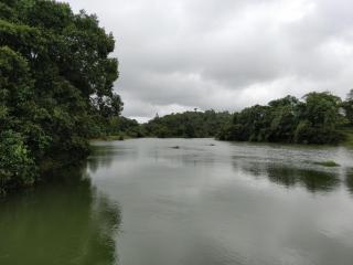 Creekside Cabin - Madikeri - 5
