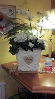 Hotel Olympic - Saint-Vincent - 9