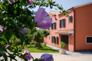 Villa Roza - Umag - 3