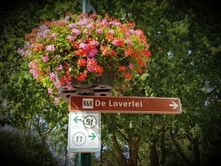 de Loverlei - Sterksel - 2