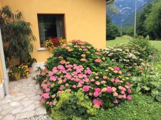 Casa Edith - Libano - 2