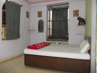 Raj Mahal Guest House - 9