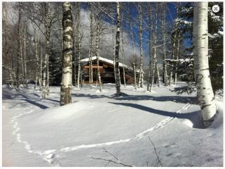 Chalet Champraz - Free Parking - Chamonix - 0