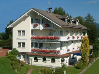 Pension Sonneneck mit Wellnessnutzung - Bayerisch Eisenstein - 0