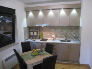 Apartment Jana - Zlatibor - 0
