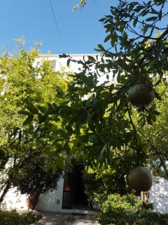 Thalassa Studios - Faliraki - 4