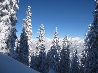 Chesa Platina - Schruns - 4