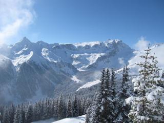 Chesa Platina - Schruns - 3