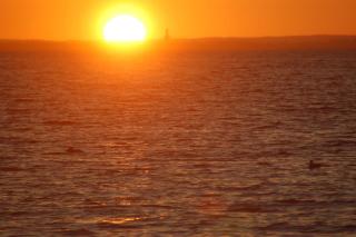 Ostsee-Ferienoase-3-Raum-App-Typ-1 - Klütz - 9