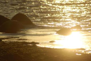 Ostsee-Ferienoase-3-Raum-App-Typ-1 - 8