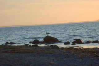 Ostsee-Ferienoase-3-Raum-App-Typ-1 - 7