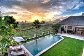 Oshan Villas Bali - Canggu - 8