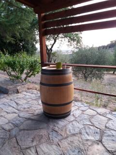 Podere San Michele - Campiglia Marittima - 1