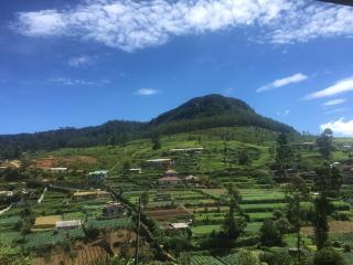 Perera Homestay - Nuwara Eliya - 4