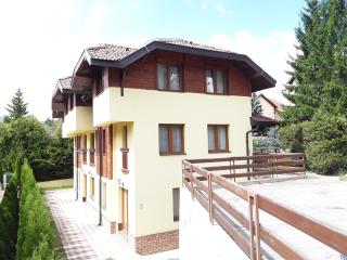 Apartmani Ivanovic - Zlatibor - 0