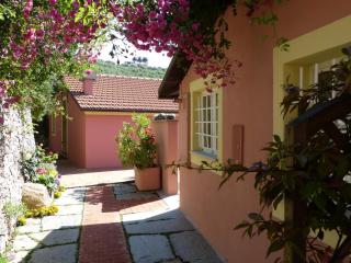Belvedere Lodge - 6
