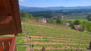 Vineyard Cottage Lustek - Novo Mesto - 5