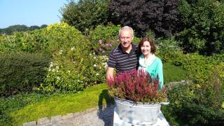 B&B Huize Cossee - 9