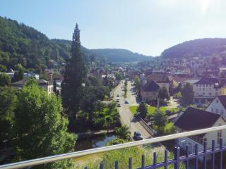 Villa Fink - Schramberg - 8
