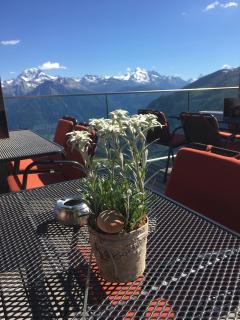 Hotel Belalp - Belalp - 4
