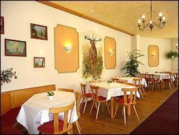 Gasthaus & Pension Zum Hirsch - Gehlberg - 7