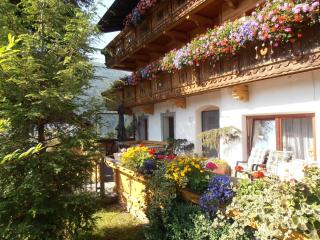 Mesnerhof Virgen - 8