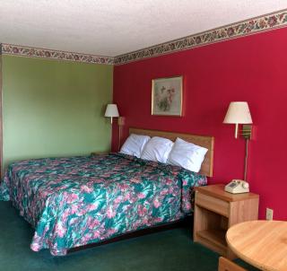 Western Motel - Camilla - Camilla - 8