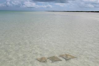 Tekio Beach Hotel - 6