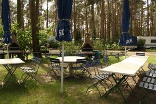 Urlaub im Bungalow mitten im Wald - Lütow - 5