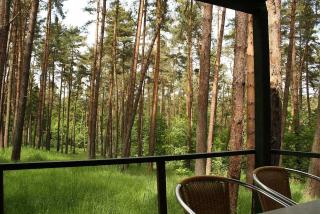 Urlaub im Bungalow mitten im Wald - 7