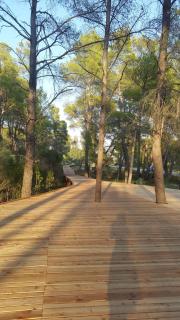 Fori Vodo - 6