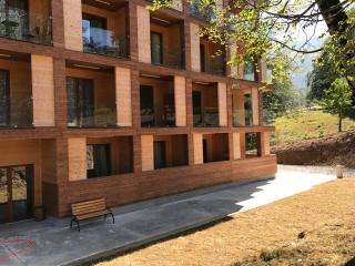 The Valley, Didveli 31, Bakuriani, apartment 303 - 7